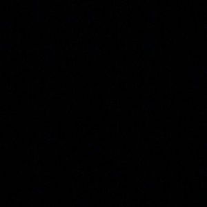 Meet your Posher, Sydnee